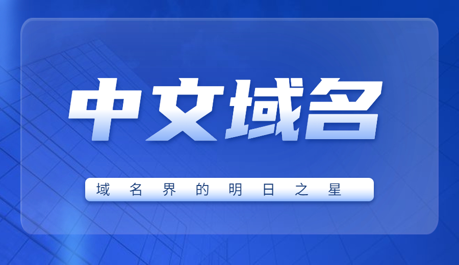 中文域名——域名界的明日之星 中文域名——域名界的明日之星