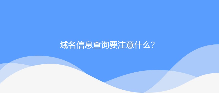 域名信息查询要注意什么？