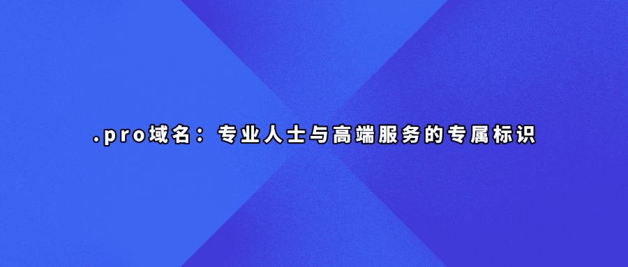 .pro域名：专业人士与高端服务的专属标识