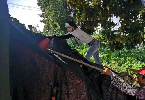 新手必看：EPP码办理的3大误区