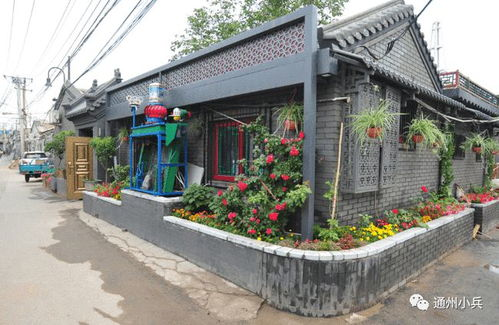 二、EPP码使用全流程：从申请到完成过户的5个关键步骤