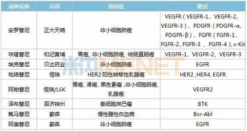 三、2025年EPP码使用新趋势与风险提示：这些坑必须避开