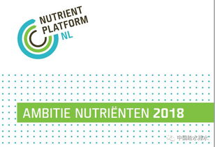 为什么域名回收越来越受重视？